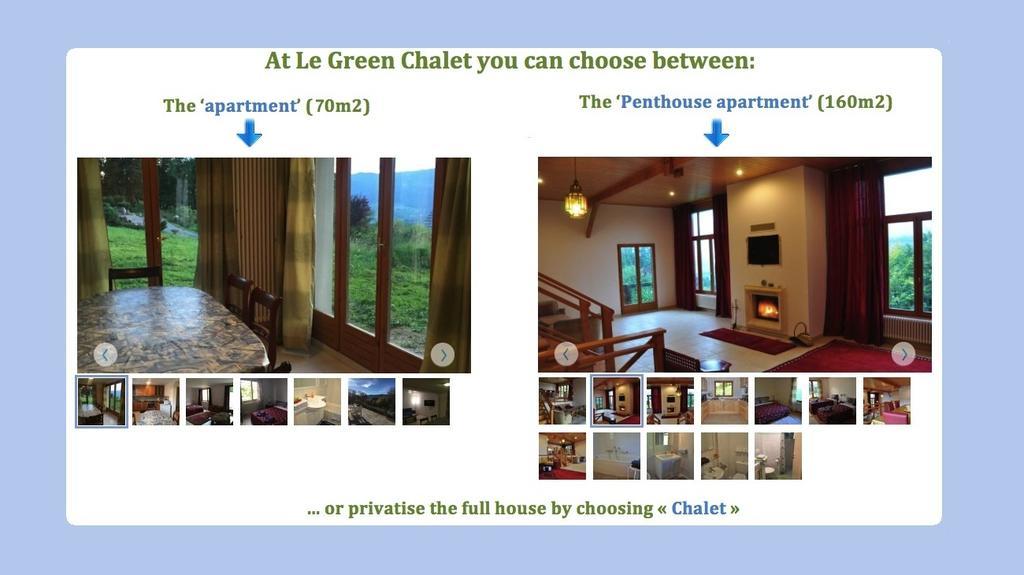 Le Green Chalet Villard-sur-Boege ภายนอก รูปภาพ