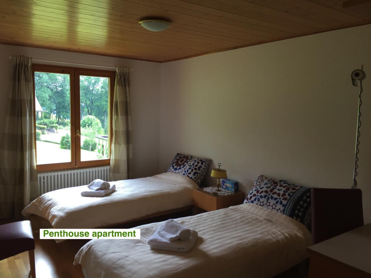 Le Green Chalet Villard-sur-Boege ภายนอก รูปภาพ
