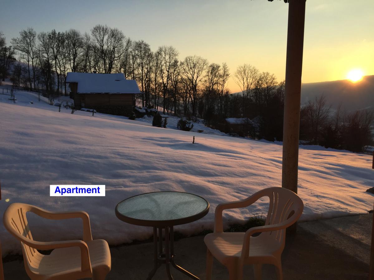 Le Green Chalet Villard-sur-Boege ภายนอก รูปภาพ